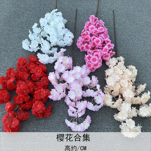 ��c�b���ѻ�֦����3辙ѻ��䴹យѻ��һ��滨֦�ٗl�ٻ�