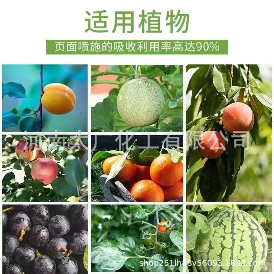 O1CN01j2jfkV1moVbYkJ8NG_!!2216