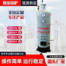 蒸汽发生器;燃煤锅炉;不脱硫除尘