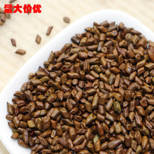 沙子玩具决明子 炒熟散装决明子散装枕头专用决明子 熟决明子包邮