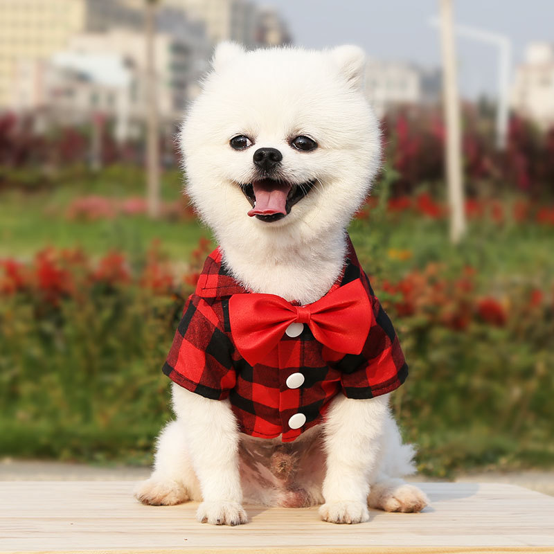 Perro camisa a cuadros traje vestido de boda oso peluche pequeño mediano y grande perro ropa para mascotas gato suministros