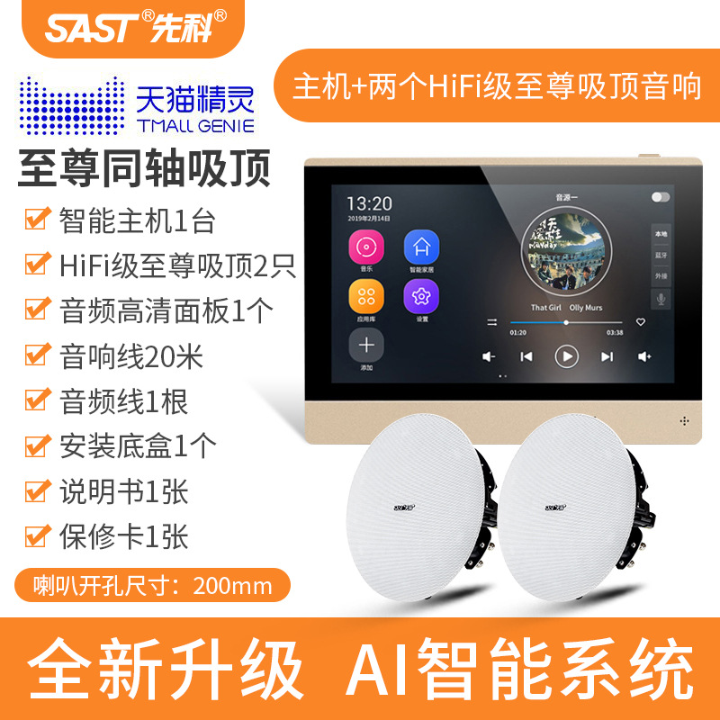 [내장 Tmall Elf] 호스트 + 2개의 Danish Voice Supreme 천장 스피커