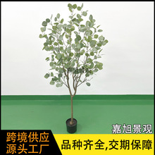 �����ȼ������쾰����پGֲ���X����ؼ٘����Ա��W��Gֲ�辰