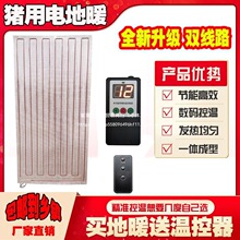 猪用地暖仔猪双线路电热地暖养殖石墨烯电热地特种养殖地暖片设备