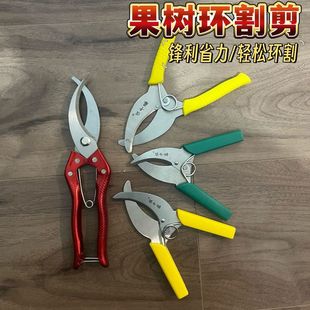 Large Ring Pruning Shears for Grape, Jujube, Peach, and Apple Trees