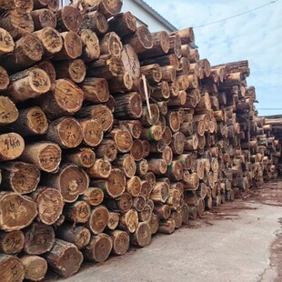 �����Ͱ� ԭľ��� �t�İ����Ѫ�ش̰ع�ľ���� �S�� �����Ͱ�