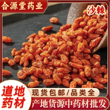 ɳ����ș�� ���ɳ�� ɳ���� ��� �S��� ɳ��������� ɳ���~��