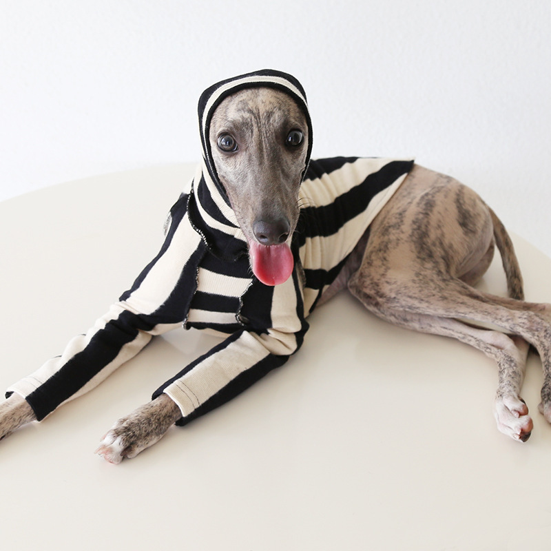 Petstyle 米兰条纹暖绒衫 意大利小灵缇惠比特宠物衣服跨境亚马逊|undefined