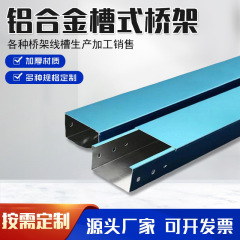 アルミ合金橋架100x100線溝屋外亜鉛メッキアルミ合金形材配線架アルミ合金橋架