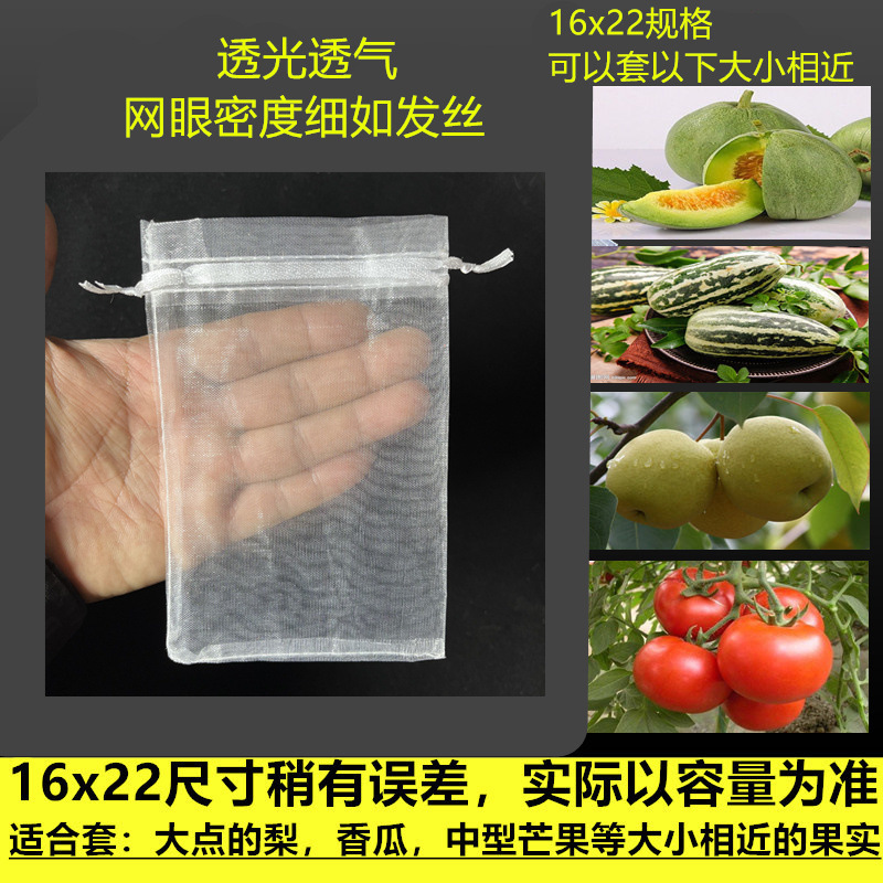 水果防鸟防虫网袋瓜果保护袋子无花果枇杷葡萄网袋桃子草莓保护套|undefined