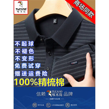 ��ľ�B�����L��T����ʿ���I��������ePOLO���ְִ����b����T