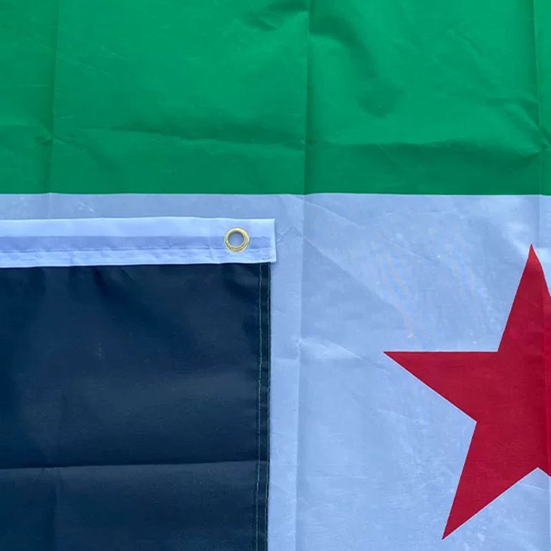 Drapeau national syrien 90 x 150 mm avec mât en plastique, en polyester, pour défilés, événements en plein air et élections. Différentes tailles disponibles._voghion.com