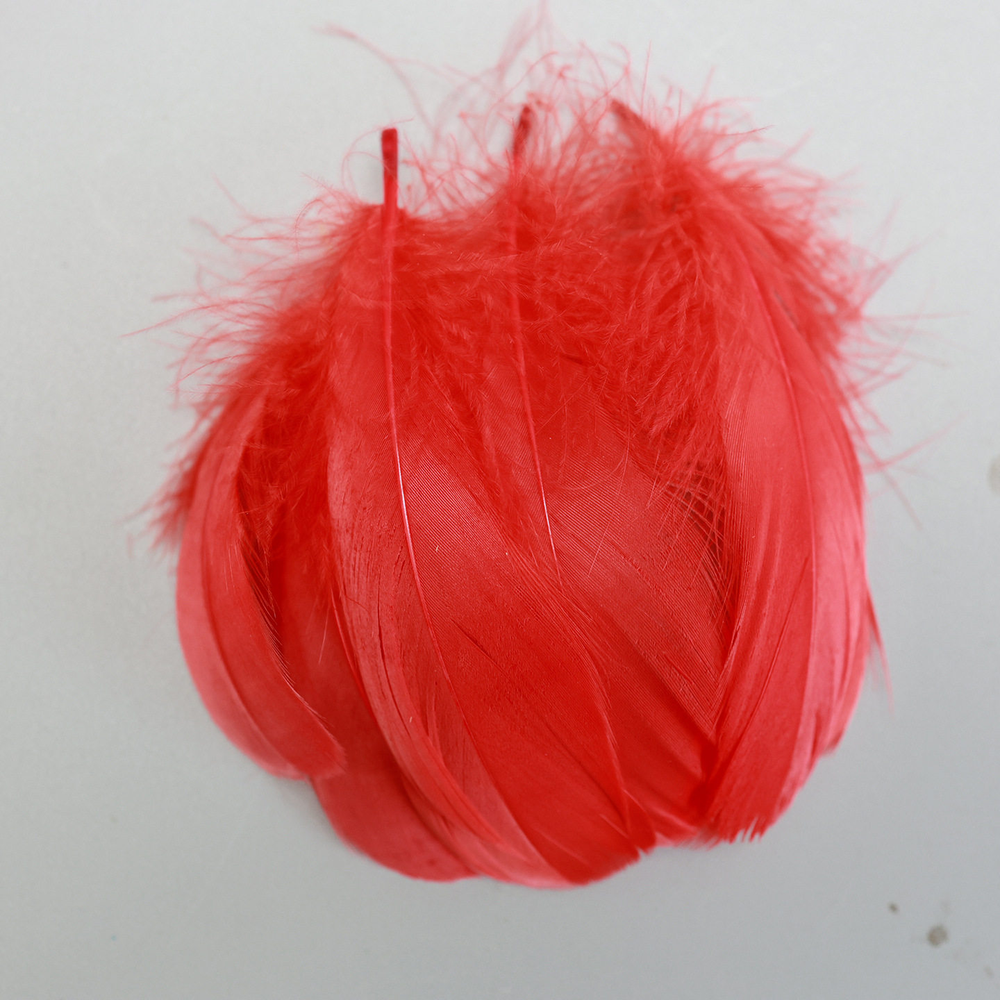 Fábrica directa pequeña serie de plumas rojas DIY accesorios accesorios de artesanía ropa accesorios escenario plumas