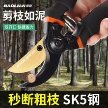 ����԰�ռ�֦��֦����֦��԰�ֻ��������޼���֦ר��ʡ�����й���