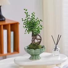 �ܘ�̦�\��Gֲ�����҃Ȳ����k���������ļ����B������ˮ��̦�\��