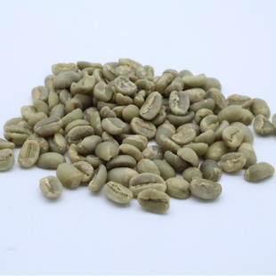 �������ȁ����_Ħ���ȶ�G4ˮϴ̎����ˬ����ڸ���������ȸ�����