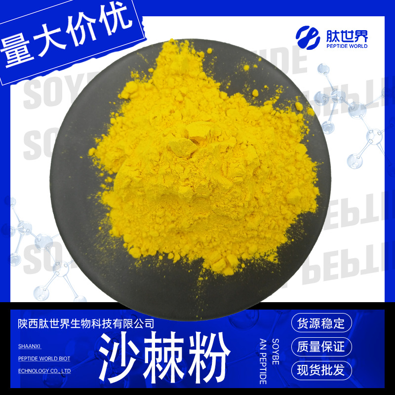 99%沙棘粉 水溶性沙棘提取物沙棘果粉现货供应量大价优沙棘粉