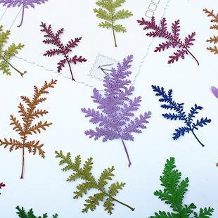 Artemisia Leaves Artemisia Dried Flowers Wholesale Embossing Material Bag Bookmark Photo Frame Flower Sticker Nail Art Photo Face Decoration