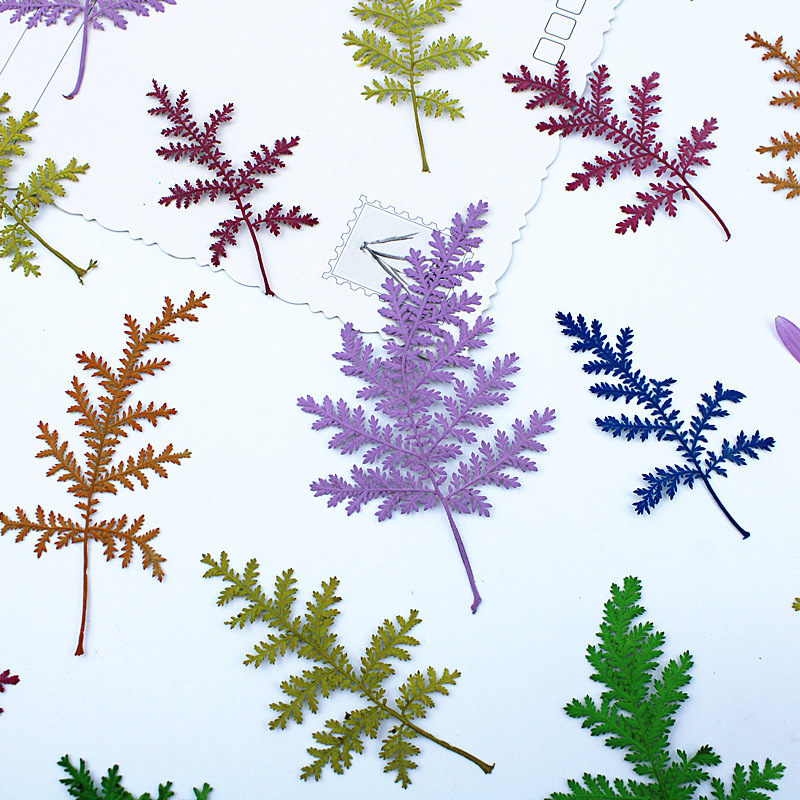 Artemisia Leaves Artemisia Dried Flowers Wholesale Embossing Material Bag Bookmark Photo Frame Flower Sticker Nail Art Photo Face Decoration