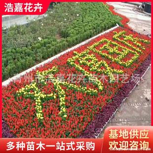 �S�ҹ������ݲݻ� һ���t ������[ �нӹ��@С�^�G�� �������l