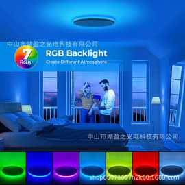 led全光谱护眼RGB小夜灯暖白吸顶灯直径300mm室内客厅节能卧室灯