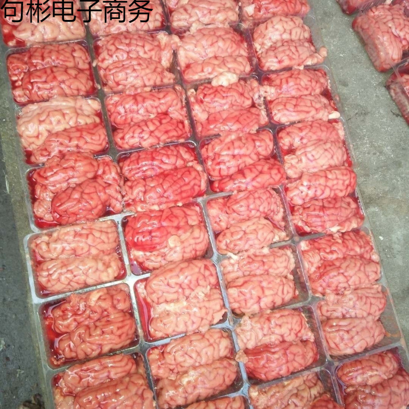 猪脑脑花批发商猪脑子新鲜冷冻脑髓生猪左右脑火锅烧烤猪肉食材