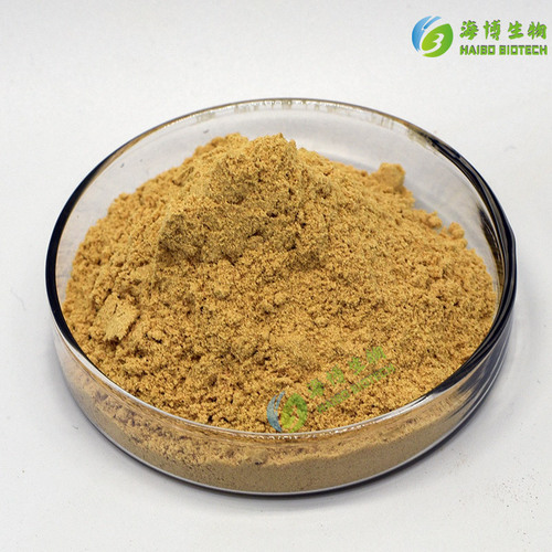 Beef Powder 99% Water Soluble Food Additive Seasoning Beef Extract Food Grade Haibo Biotechnology
