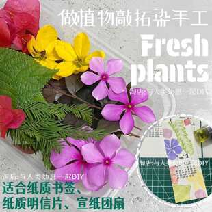 ֲ����Ⱦ�r�� ���r���~���ܾGֲ �����زݲ��� ��ӡ���|���û���