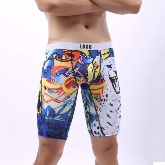 Men's sports underwear wholesale breathable moisture wicking sports underwear printed long fitness men's underwear