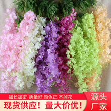 ���l���궹��֦�������c����b������ϱ������ٻ��������ٻ�