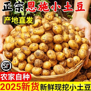 ��ʩС�����F�ں������r�S�����������߲����������R�������