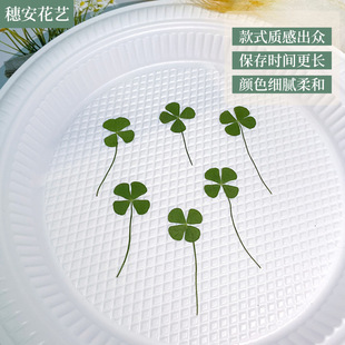 Wholesale Four-Leaf Clover Dried Flower Embossed Natural Plant Clover Embossed Mobile Phone Case Glue Decal Handmade DIY Bag