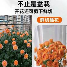 õ�廨�����Ϙ��¼������ش������ļ��_���ܼt�Nޱ��ɫ��֭���