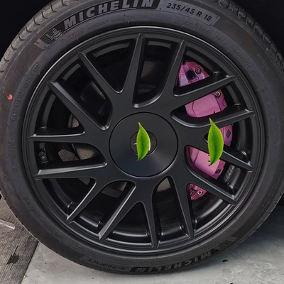 Brake caliper cover – Calipers, Color-Changing Aluminum Alloy - tesla-model-319-23-pink-aluminum-alloy-brake-caliper-covers-four-packs-tesla-logo-two-pairs-of-brake-caliper-covers