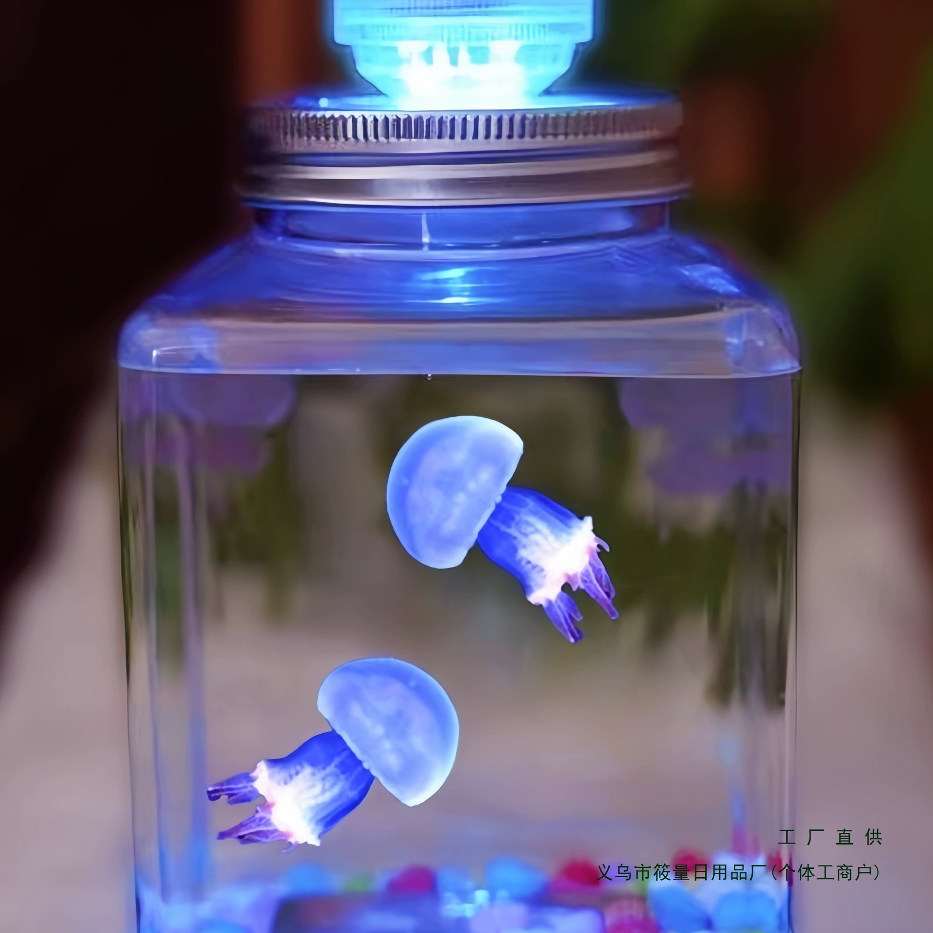Медузы живые домашние животные, светящиеся медузы, рабочий стол, студенты и дети, легко выращивать маленьких домашних животных, маленьких животных, живых