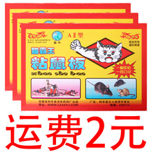 ����ճ����ճ����zճ��������Nץ����A�҃ȼ��ô�̖׽մ����