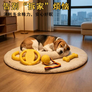 ����ߌ���Ȧ߅��Ӗ���A�h�w�PС��Ȯ�␞�����������w�P##