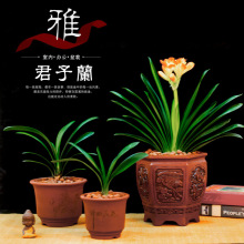 �����m���Ի���Դ�^�����m����ֱ�l�҃Ⱥ��B���ͺ����ԾGֲ�m����