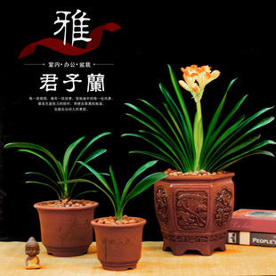 �����m���Ի���Դ�^�����m����ֱ�l�҃Ⱥ��B���ͺ����ԾGֲ�m����