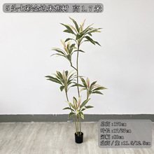 ��������ľ���Է���Gֲ�����F����辰�҃ȼҾ�ܛ�b����ֲ��