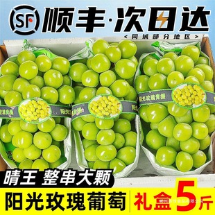 ꖹ�õ���������rˮ��5��Y��������ӡ���ᮔ���������l��S���]