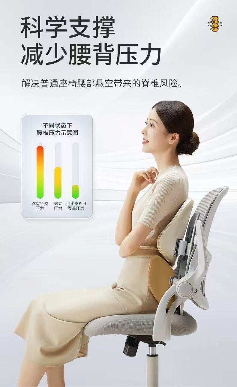 Nortech Lumbar Support Cushion for Long Sitting, Ergonomic Seat Cushion for Office and Car, Lumbar Support Gift