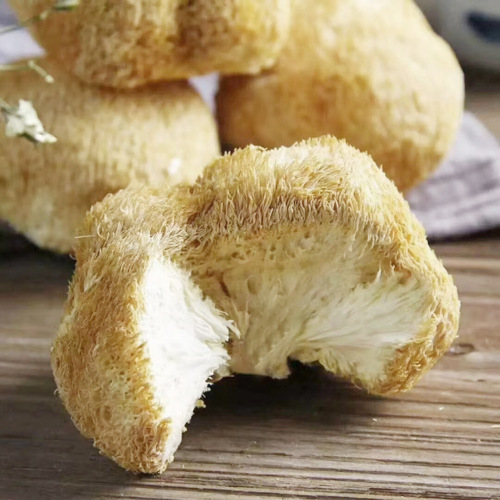 New Product Gutian Monkey Head Mushroom Dried Monkey Head Mushroom Gutian Specialty Powder Raw Material Wholesale Origin Edible Fungus 500g