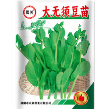 ������o횶���N�� �����~�㶹���㶹���� �̨�r���߲˷N��25��