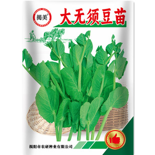 ������o횶���N�� �����~�㶹���㶹���� �̨�r���߲˷N��25��