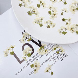 ��ѩ÷�ɻ��������l���z�֙C�������Ʒ���̨����޹Ϟ�T����Ѻ��