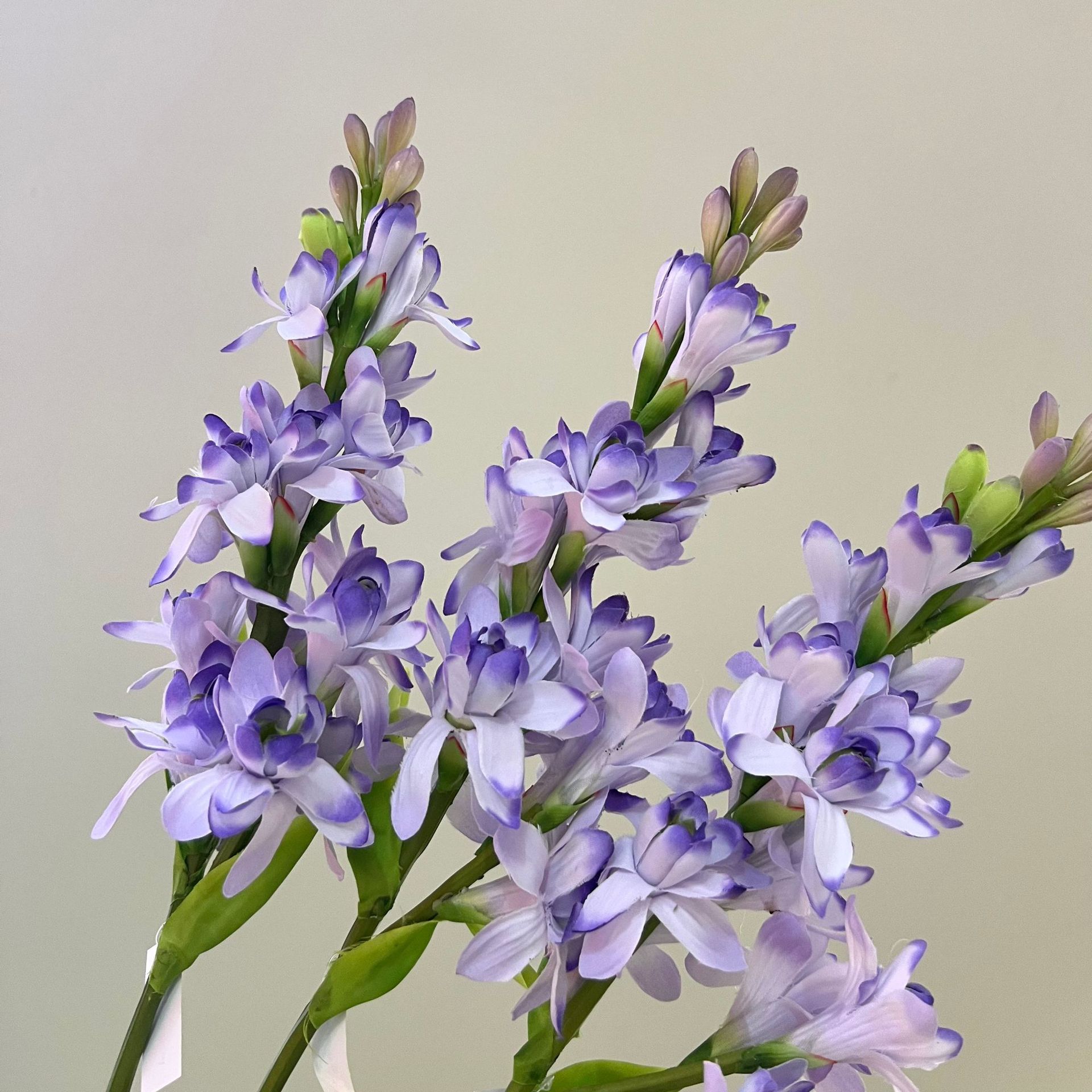 WeChat picture_20240613163353.jpg