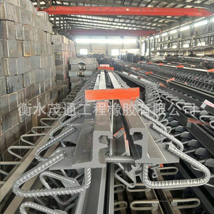 Road and Bridge Expansion Joint GQF-C40 D80 Comb Plate Expansion Joint Contraction Joint Rubber Strip Rubber Bearing X20
