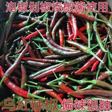 紫红短山辣椒农家自种重庆新鲜辣薄皮新鲜蔬菜青辣子椒现摘包邮