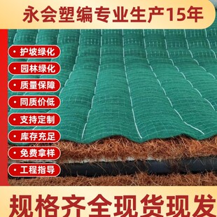 �羳�o��Ҭ�z̺���̸���߅�¼ӽ�_����̺���B�h���G��ֲ��̺